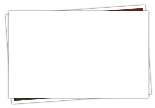 background picture frame for banner photos