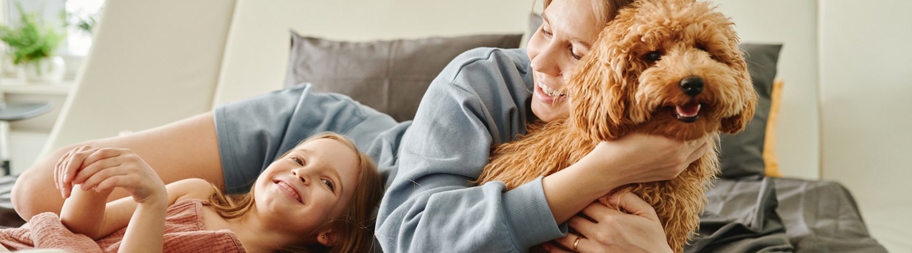 Family for home insurance